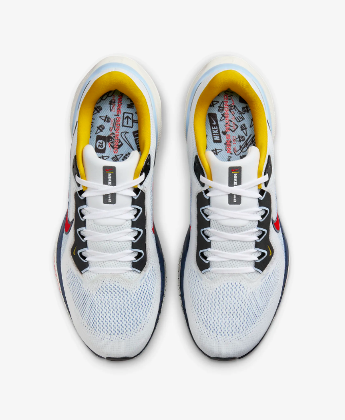 Nike Air Zoom Pegasus 41 (homme)