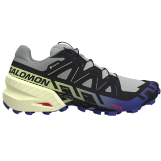 Salomon Speedcross 6 GTX (homme)