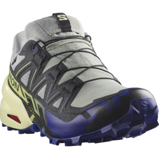 Salomon Speedcross 6 GTX (homme)