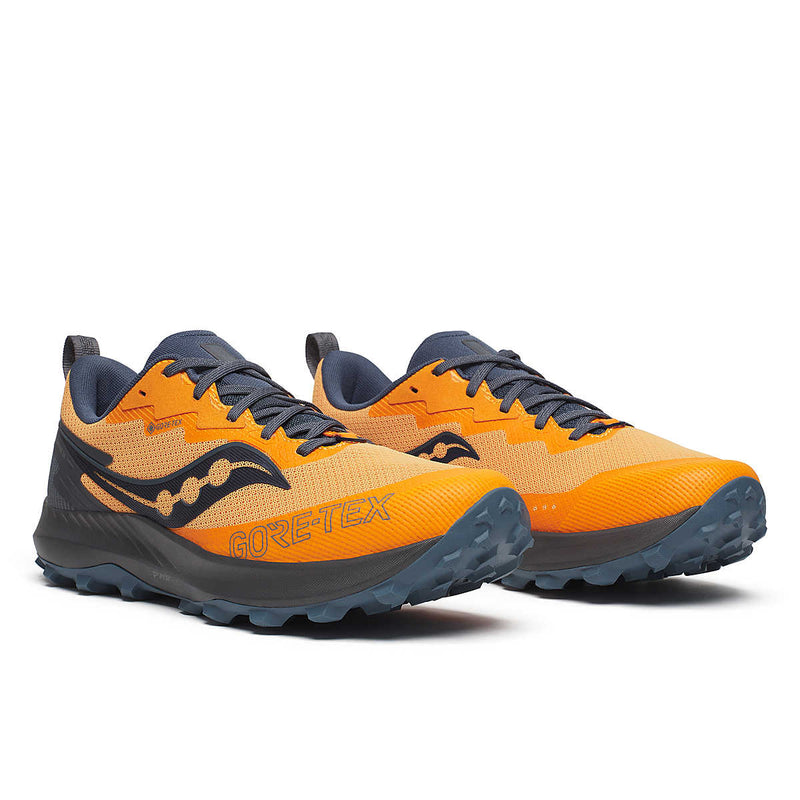 Saucony Peregrine 14 GTX (homme)